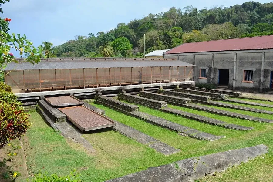 Belmont Estate, Grenade