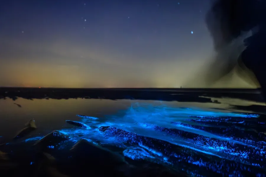 Bioluminescent Bays