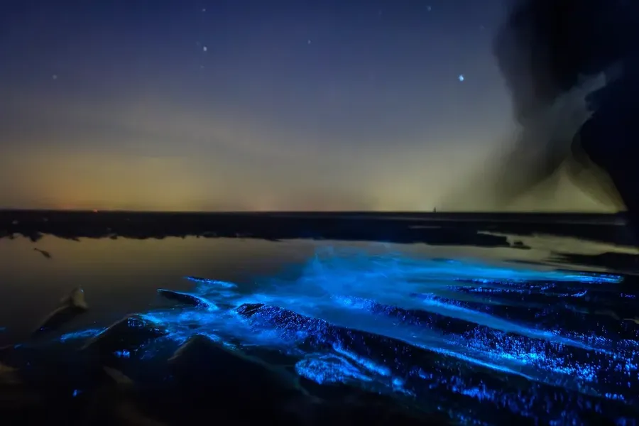 Bioluminescent Bays