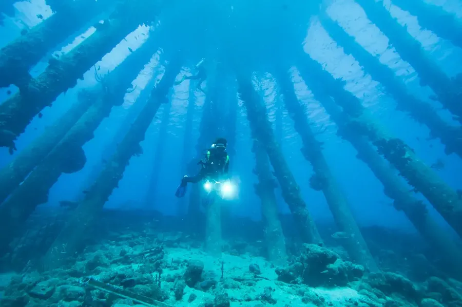 Diving in Bonaire