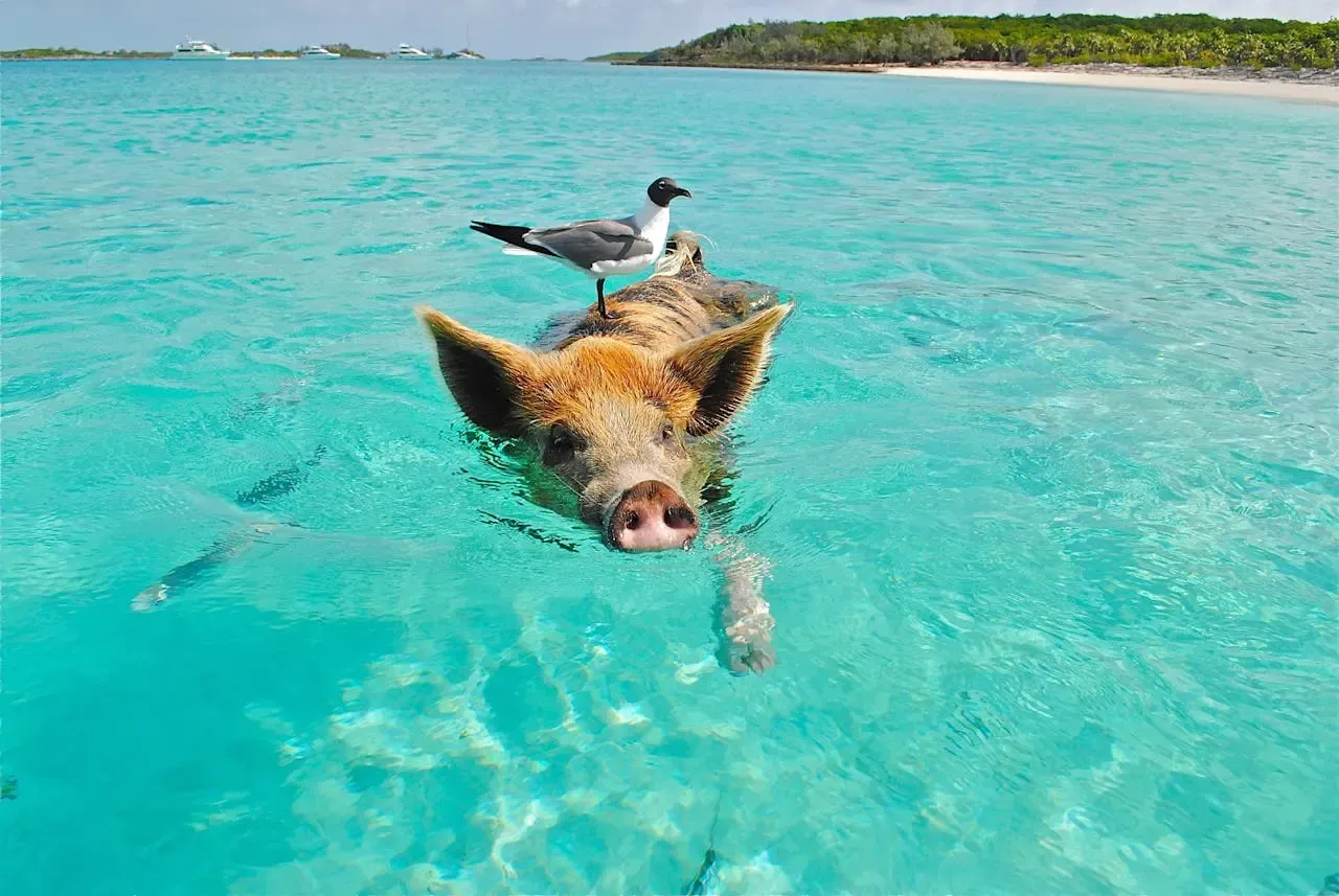 Exuma Cays