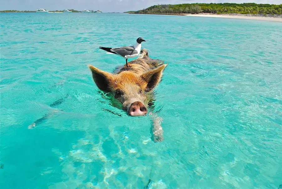 Exuma Cays