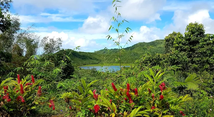 Grand Etang National Park