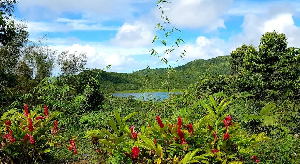 Grand Etang National Park