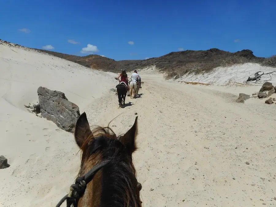 Horseback Riding, Aruba