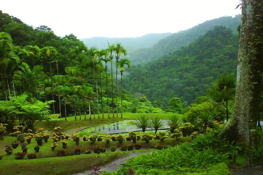 Jardin de Balata, Martinique