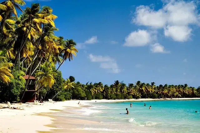 Martinique.webp