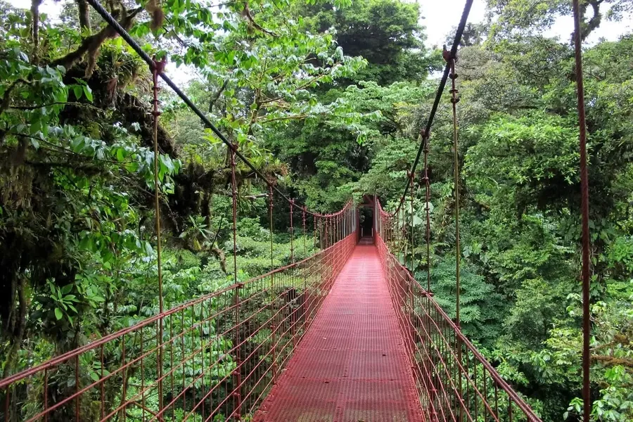 Monteverde Cloud Forest
