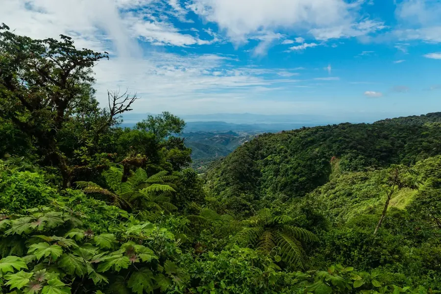 Monteverde Cloud Forest