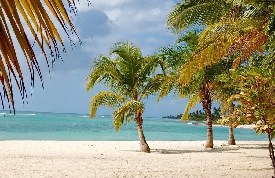 Saona Island, Dominican Republic