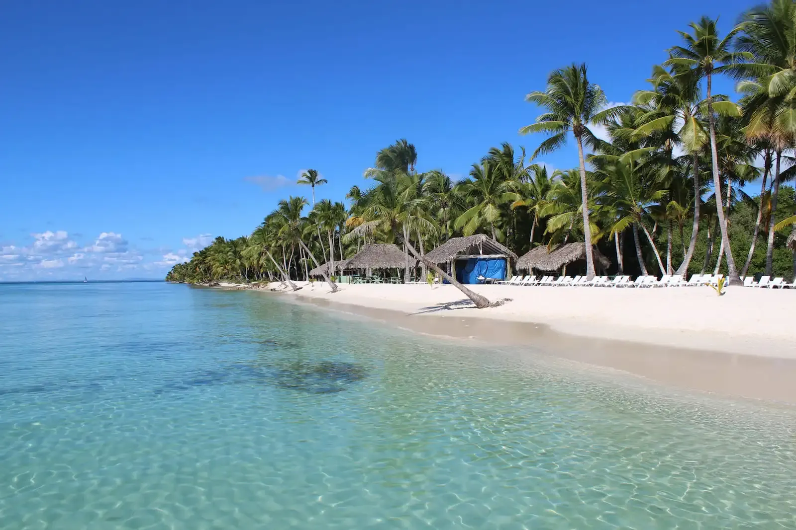 Saona Island, Dominican Republic