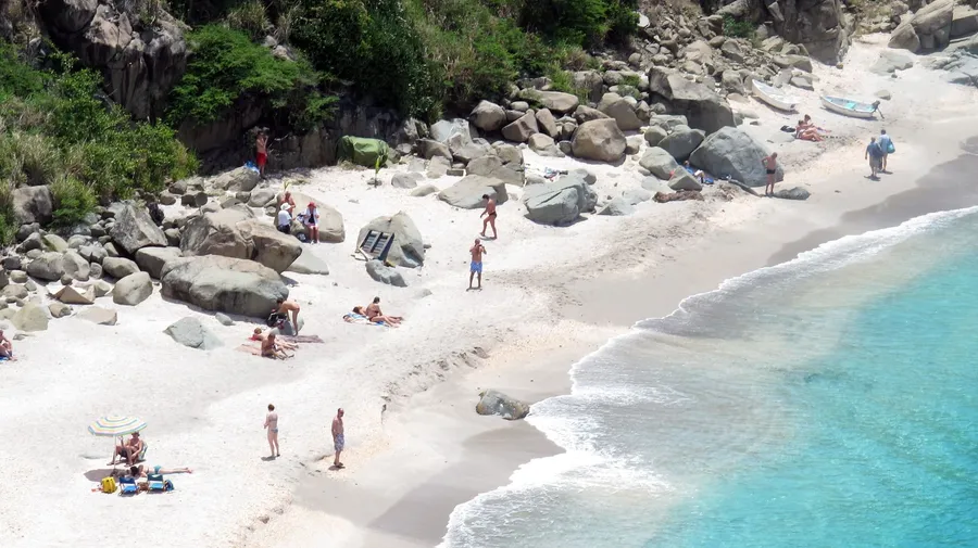 Shell Beach