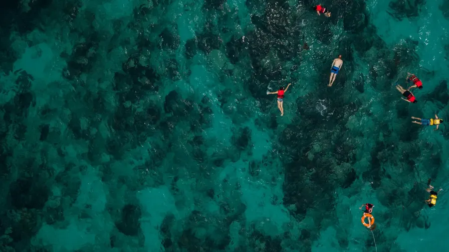 Snorkeling