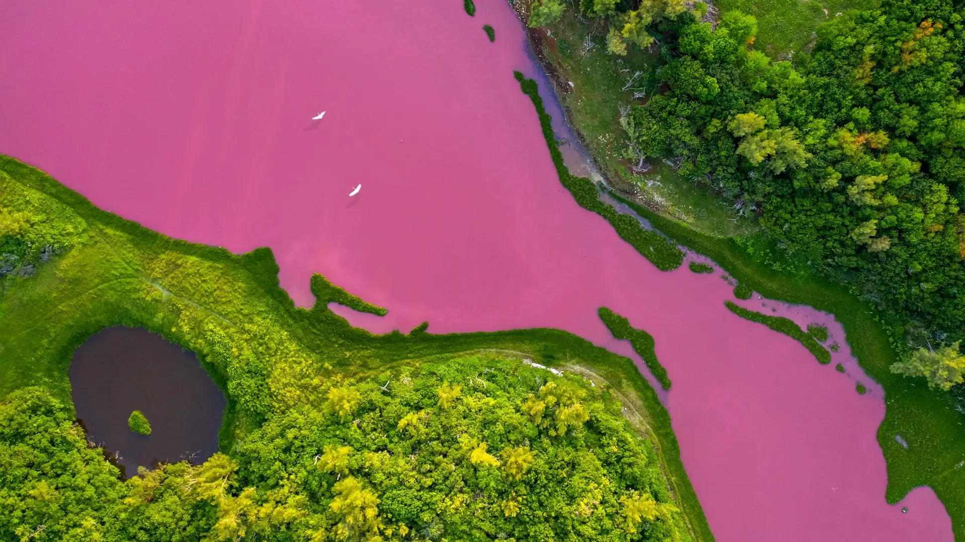 Spittal Pond, Bermuda