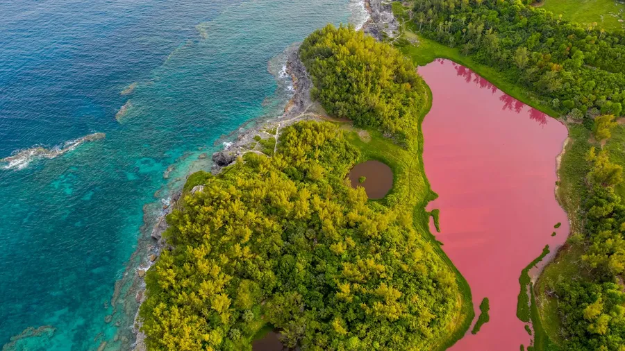 Spittal Pond, Bermuda