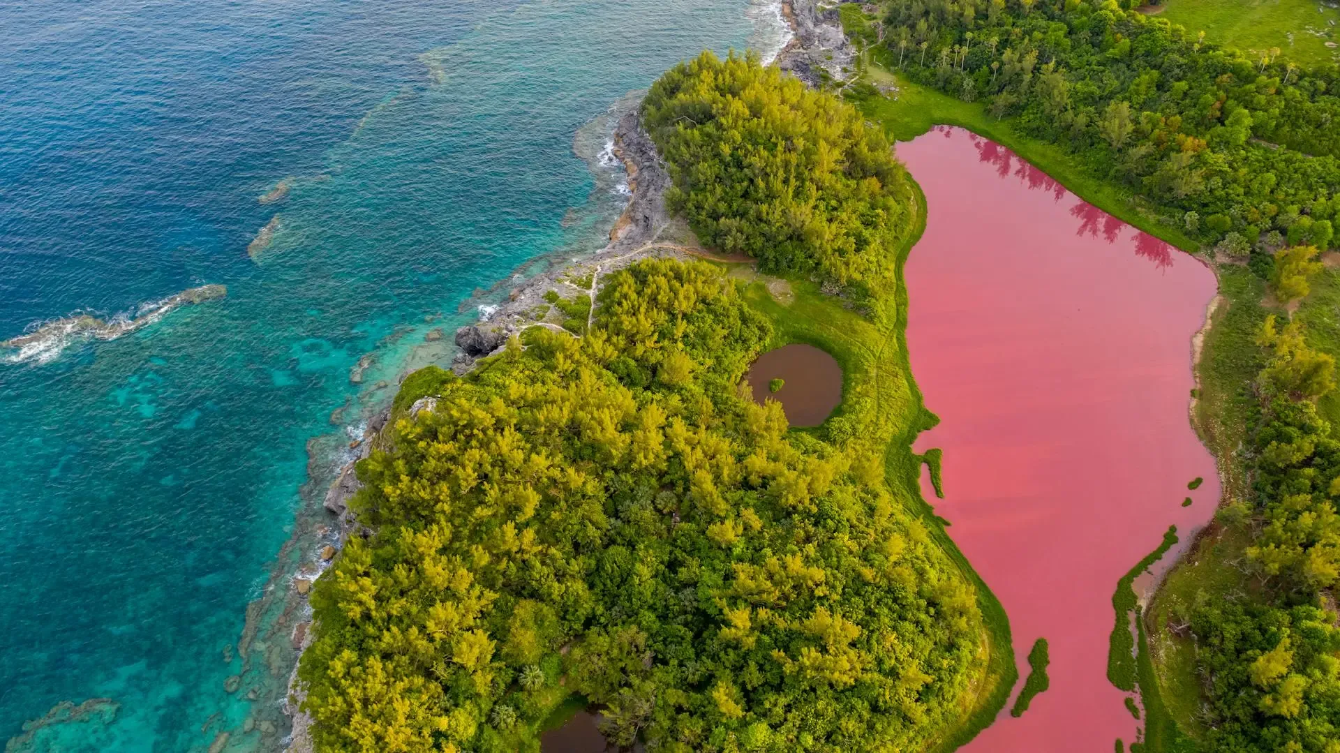 Spittal Pond, Bermuda