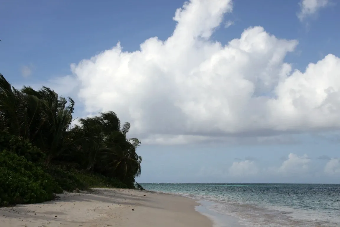 Playa Flamenco