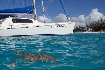 Crociera in catamarano per piccoli gruppi di 5 ore da Bridgetown con pranzo