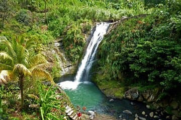 Excursión de día completo: Cascada de Concord, fábrica de chocolate, destilería de ron, Grand Etang