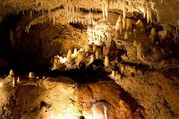 Excursión en tranvía a la cueva de Harrison en Barbados y aventura de esnórquel en crucero en barco