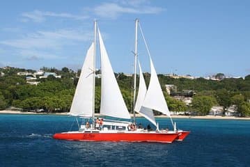 Barbados Catamaran Turtle and Shipwreck Cruzeiro de snorkeling