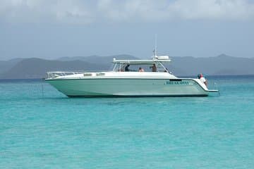 Snorkel St. John Tour desde Sapphire y Margaritaville
