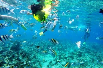 Excursion sur la côte de Puerto Plata, excursion de plongée en apnée et journée à la plage de Sosua