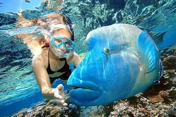 Tour combinato di Punta Cana: snorkeling, crociera in catamarano e parasailing