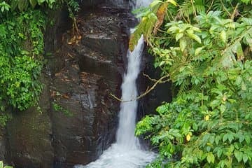 Tour por Isla Norte y Martinica Mejor Secreto