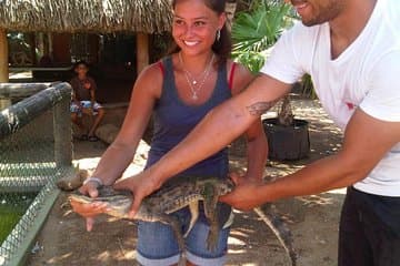Excursão guiada de meio dia ao Santuário Animal de Aruba