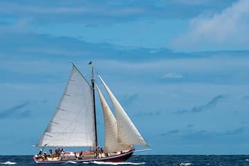 Aventura de medio día en barco y esnórquel en Little Bay
