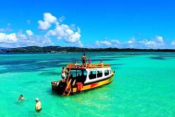 Crucero por el Buccoo Reef de Tobago y tour por la isla