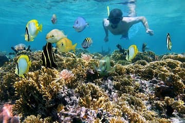 St Thomas~St John Snorkel, baignade et plage sur MV Island Flyer