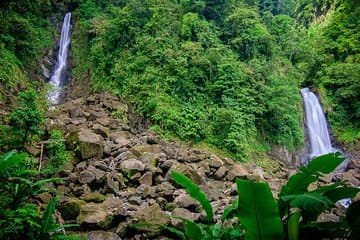 Visite de la ville avec jardins botaniques, Trafalgar Falls et Morne Bruce