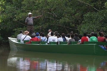 Caroni Bird Sanctuary Tour