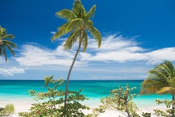 Tour Privado Granada : Especias, Cascadas & Playas Ocultas
