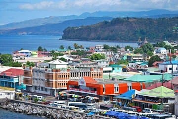 City Tour with Botanical Gardens, Trafalgar Falls & Morne Bruce 