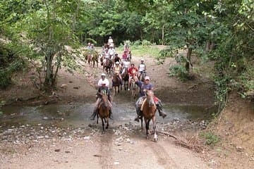 Bayahíbe Equitazione & River swimmig