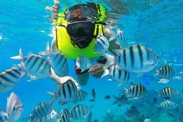 Découvrez le monde sous-marin et la journée sur la plage de Sosua