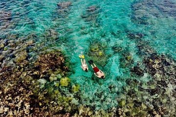 Captain Bob Speed Boat, Snorkeling, Beach Tour & Lunch St Maarten