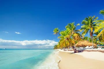 Excursión de día completo en isla Saona