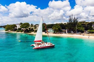 Barbados Katamaran Turtle Schnorchel mit offener Bar