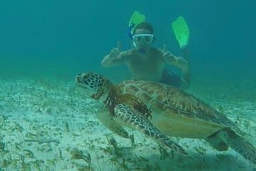 Hol Chan Full-Day Bucket List Snorkeling and Marine Life Tour