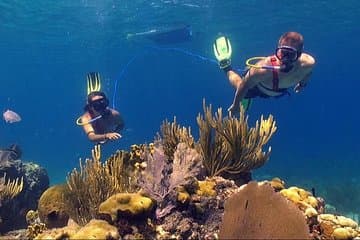 Snuba Adventure en Coral World Ocean Park