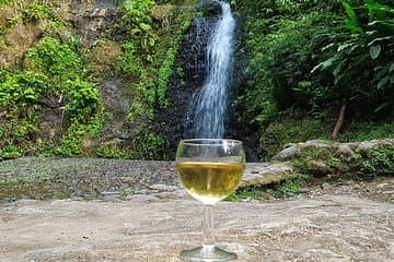 Excursión Gourmet Pile et Face - Selva y St Pierre