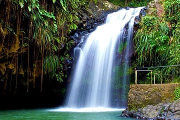 Seven Sisters Falls Hike / Annandale Falls / Grand Etang National Park & Lake