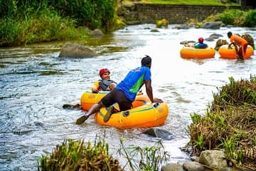 Tubo de río Granada de medio día - Grand Etang & Annandale Falls