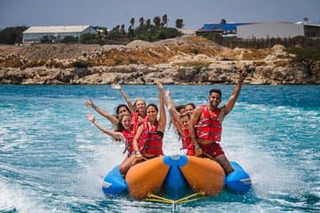 Excursión de un día con todo incluido a Aruba De Palm Island