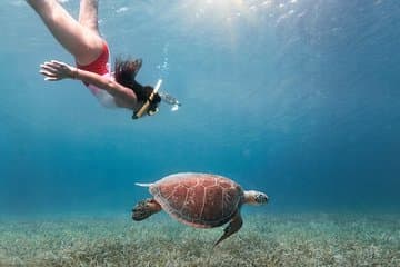 Culebra Island Snorkel e Turtle Adventure com transporte de balsa