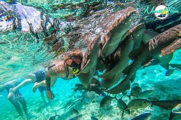 All inclusive Snorkeling at Hol Chan